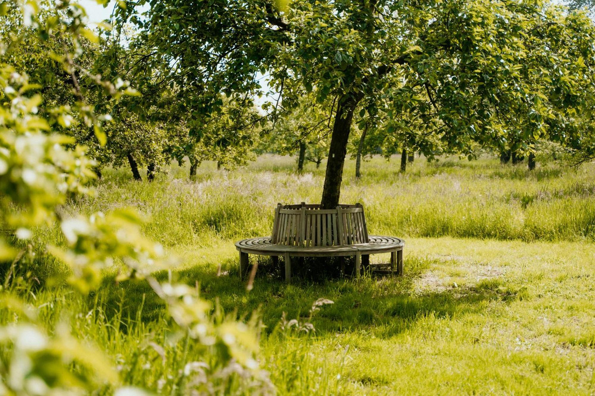 Cottage Landgoed Frymerson Sint Odiliënberg Dış mekan fotoğraf