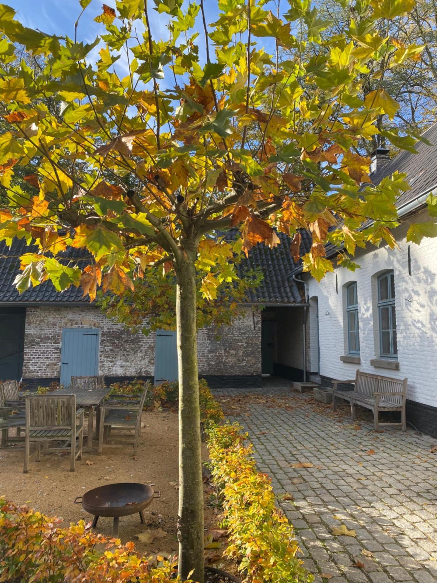 Cottage Landgoed Frymerson Sint Odiliënberg Dış mekan fotoğraf